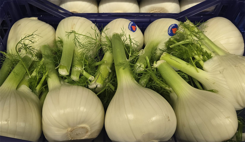 Finocchi - Italia - 1,80 euro al chilogrammo